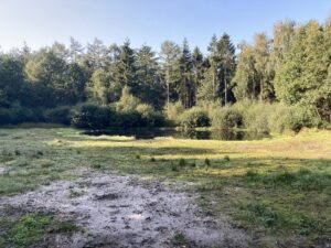 Magische Labyrint wandeling @ Jipsingboertange