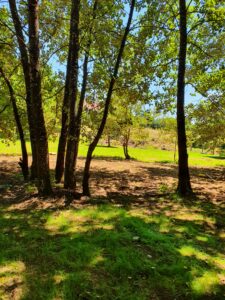 het bouwen van een labyrint