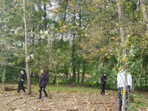 loop het labyrint tijdens de keltische midweek